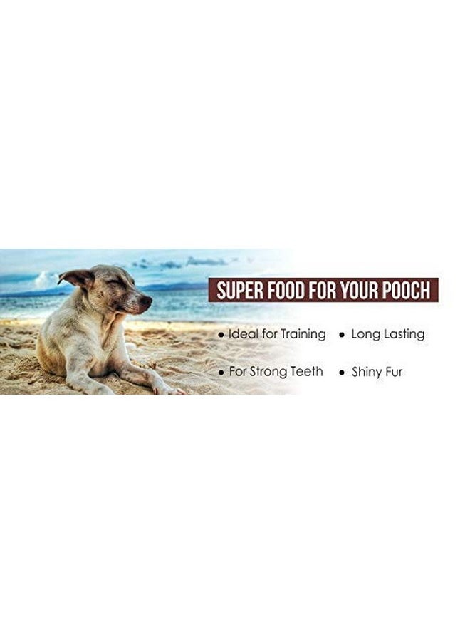 ROBUST Robust Long Lasting All-Natural Dog Chew Bones - 5 inches (4 Units) | Premium Compressed Rawhide Chews for Small, Medium & Large Dogs | Healthy & Digestible Rawhide Bones to Improve Oral Health  - Image 3