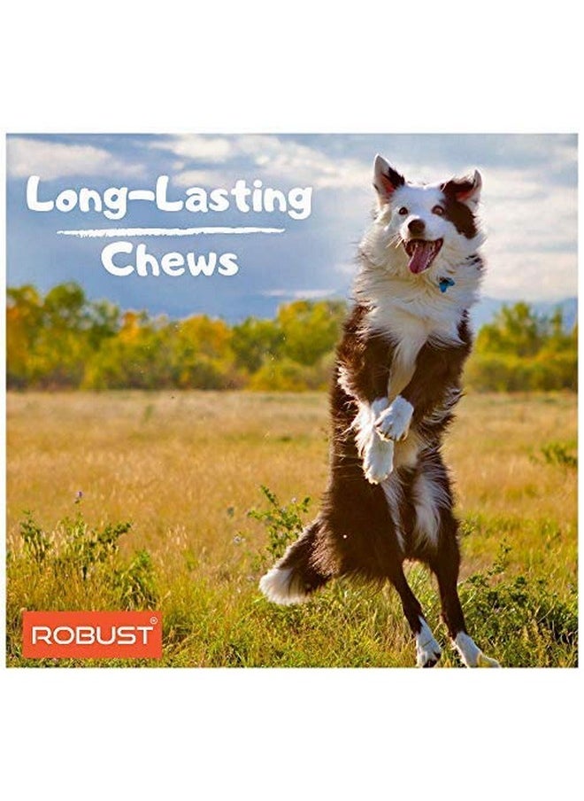 ROBUST Robust Long Lasting All-Natural Dog Chew Bones - 5 inches (4 Units) | Premium Compressed Rawhide Chews for Small, Medium & Large Dogs | Healthy & Digestible Rawhide Bones to Improve Oral Health  - Image 2