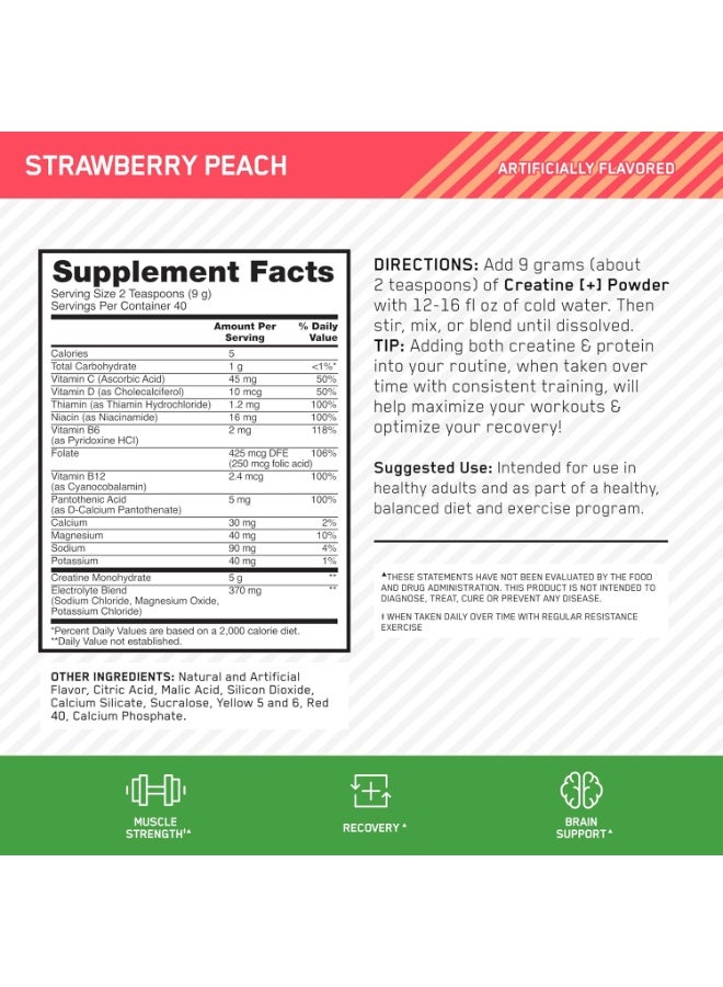 Creatine Monohydrate Plus Powder 360G – Strawberry Peach Flavor, 5G Creatine Per Serving, Electrolytes & Vitamins For Muscle Strength & Hydration, 40 Servings