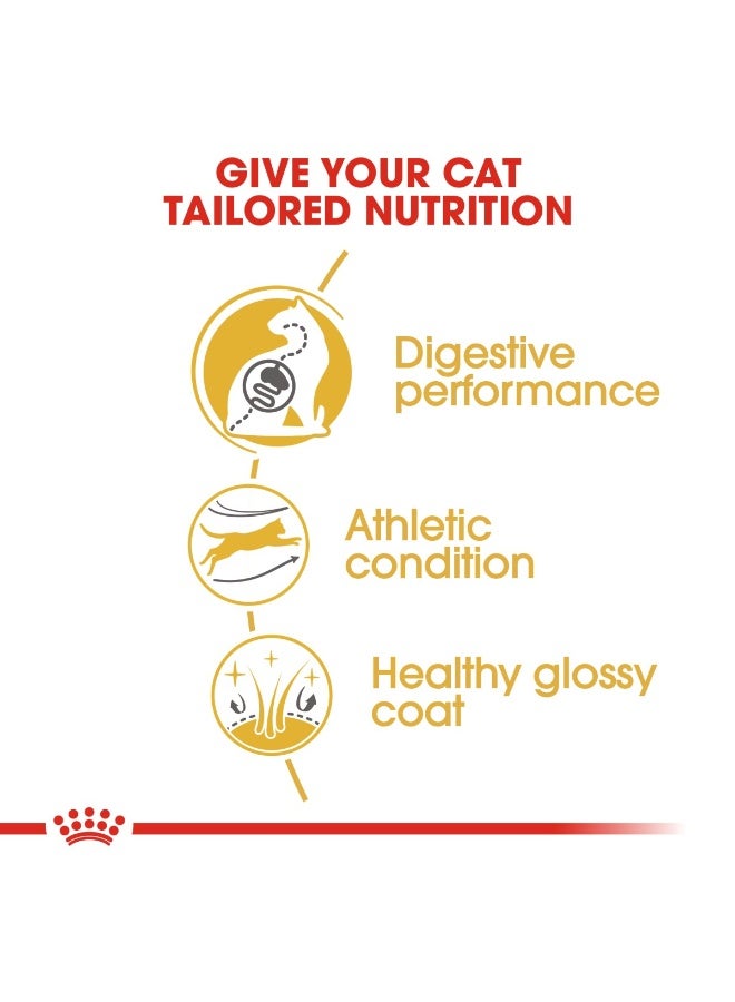 ROYAL CANIN Feline Breed Nutrition Bengal Adult 2 kg - Image 4