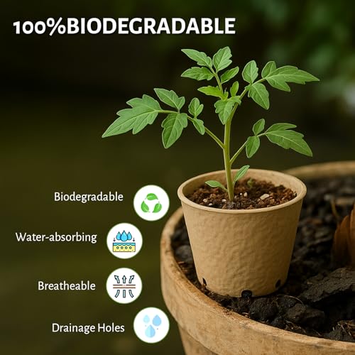 Bluepro 120 Packs 3.15 Inch Peat Pots, Biodegradable Pots for Seedlings with Drainage Holes, Herb Seed Starter - Image 3