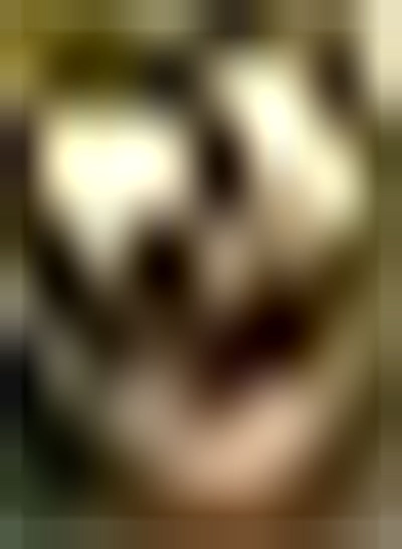 GGOOT Polyanthus Crown Exhibition Strain, Approx 25 Seeds, Fairy Flower Seeds - Image 3