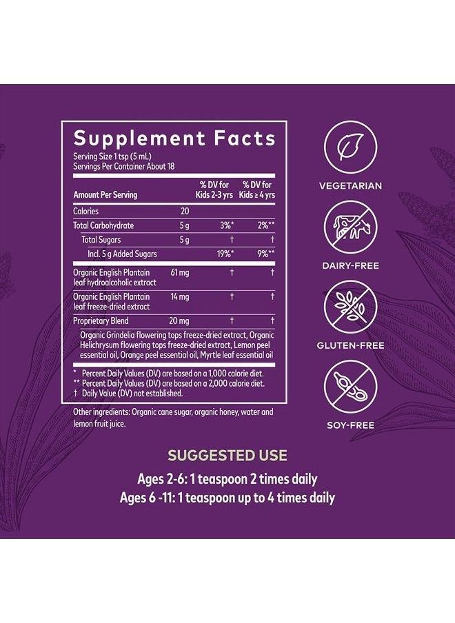 Gaia Herbs - Gaia Kids Bronchial Wellness Syrup - Immune Support Supplement - Overall Throat & Lung Health Support - Certified Organic Formula with English Plantain, Grindelia & Honey - 3 Fl Oz (18 Servings) - Image 1