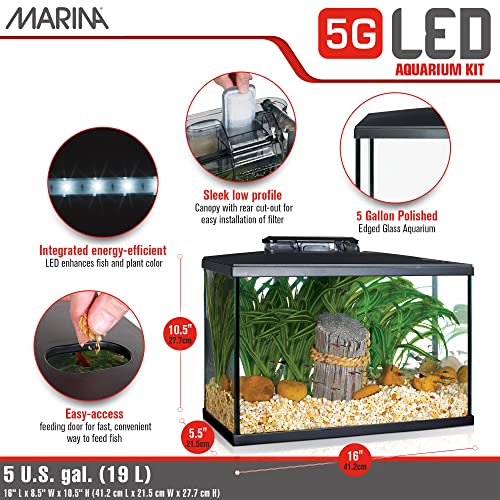 Marina 5 Gallon (19 L) LED Aquarium Kit – Ideal for Beginner Aquarists and New Fish-Keepers - Image 3