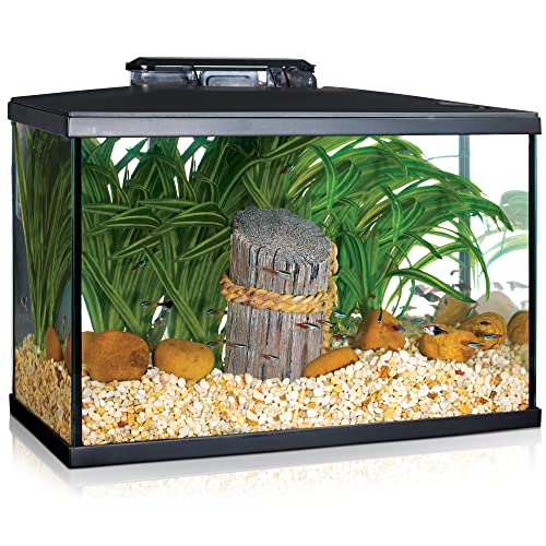 Marina 5 Gallon (19 L) LED Aquarium Kit – Ideal for Beginner Aquarists and New Fish-Keepers - Image 1