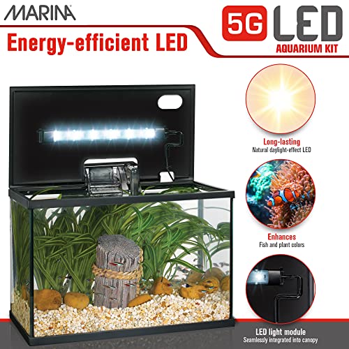 Marina 5 Gallon (19 L) LED Aquarium Kit – Ideal for Beginner Aquarists and New Fish-Keepers - Image 4