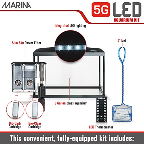 Marina 5 Gallon (19 L) LED Aquarium Kit – Ideal for Beginner Aquarists and New Fish-Keepers - Image 2