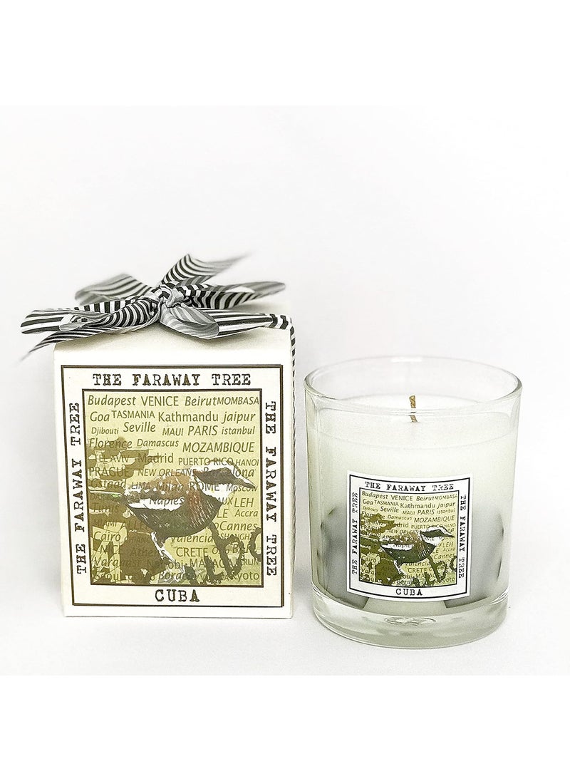 THE FARAWAY TREE THE FARAWAY TREE Scented Candle Bird  - Image 1