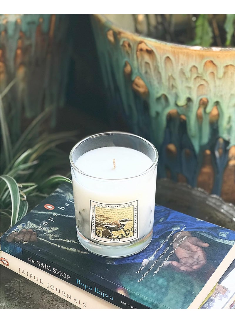 THE FARAWAY TREE THE FARAWAY TREE Scented Candle Bird  - Image 3