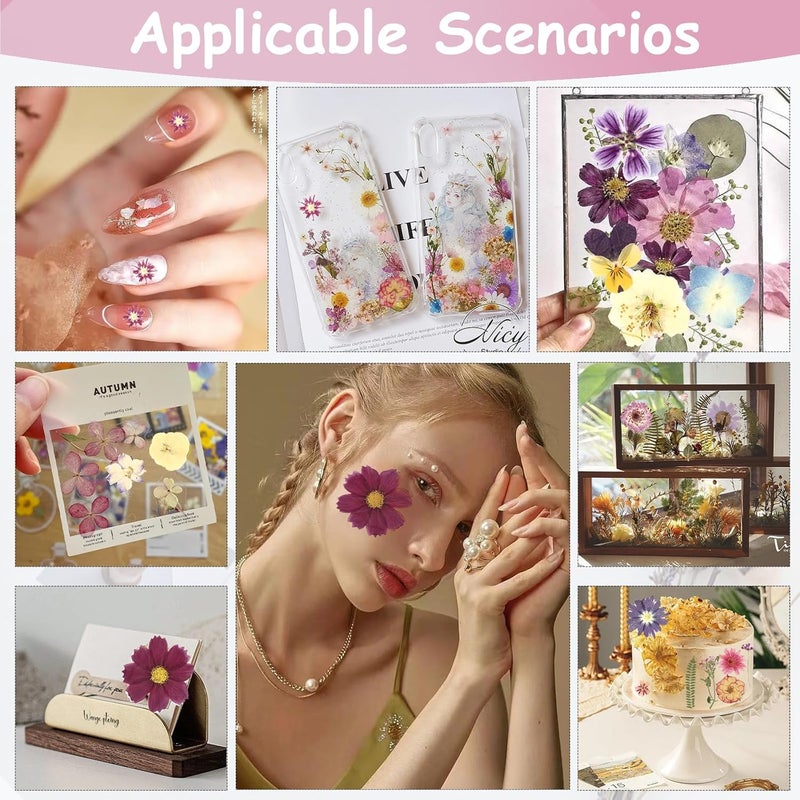 Eshow 50Pcs Dried Pressed Flowers for Crafts and 40Pcs Butterfly Stickers, Natural Dry Flowers for Resin with Tweezer for Scrapbooking DIY Art Crafts, Epoxy Jewelry Molds, Candle, Soap Making - Image 4