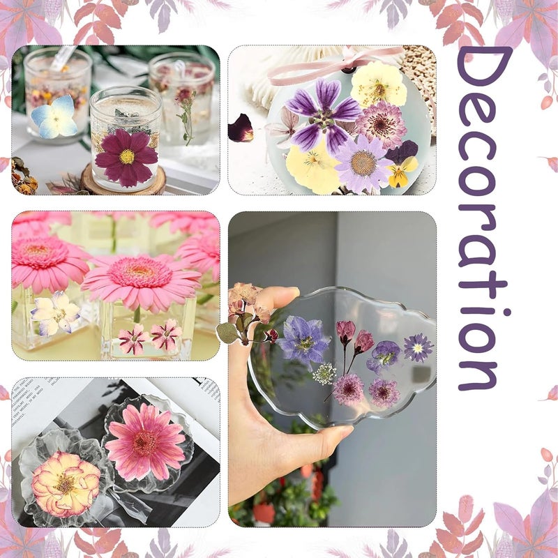 Eshow 50Pcs Dried Pressed Flowers for Crafts and 40Pcs Butterfly Stickers, Natural Dry Flowers for Resin with Tweezer for Scrapbooking DIY Art Crafts, Epoxy Jewelry Molds, Candle, Soap Making - Image 5