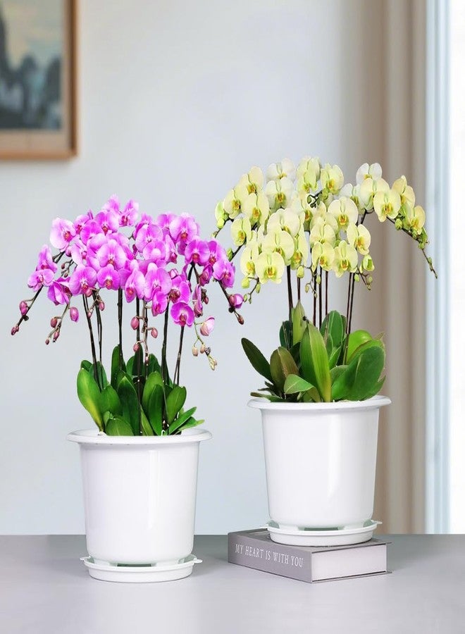 Meshpot 8 Inch Plastic Orchid Pots with Holes,Decorative Planter Pots for Indoor Outdoor Flower Plants,Herbs,Snake Plants and Succulents - Image 2