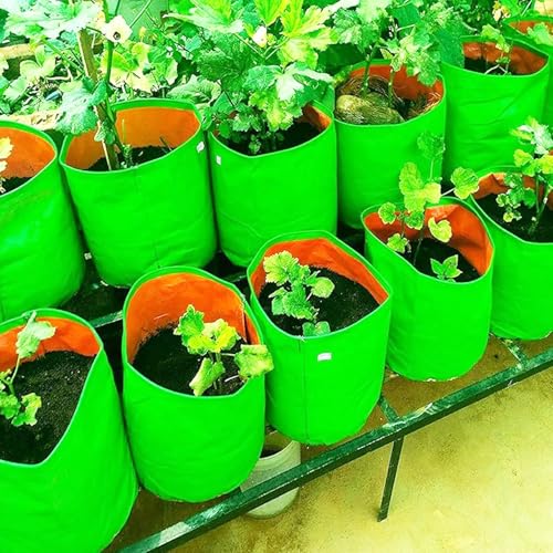 BIANCO Grow Bags for Gardening Vegetables Herbs & Flowers (Set of 2) Planter Bags for Home Balcony Terrace & Outdoor Farming (18 Inch, 250gsm) Heavy Duty Reusable Gallon Grow Bags - Image 2