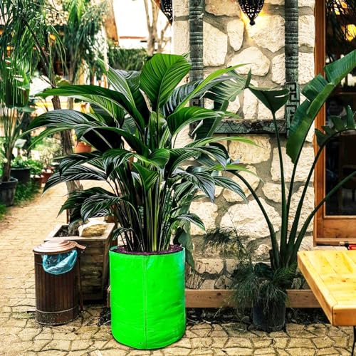 BIANCO Grow Bags for Gardening Vegetables Herbs & Flowers (Set of 2) Planter Bags for Home Balcony Terrace & Outdoor Farming (18 Inch, 250gsm) Heavy Duty Reusable Gallon Grow Bags - Image 3
