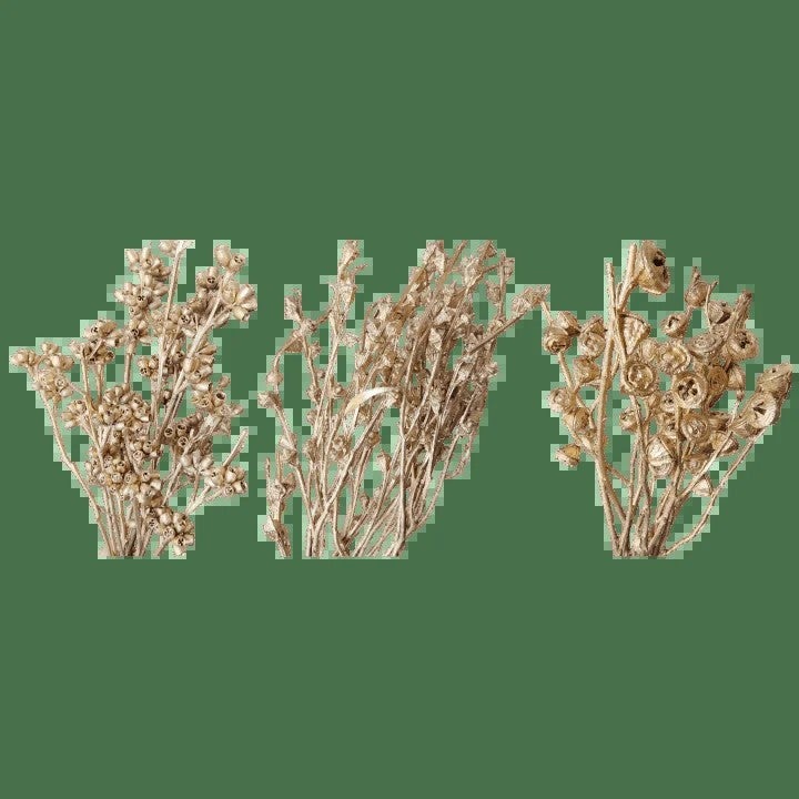 Bluejw Dried Zombie Fruit Flower & Eucalyptus Arrangement in Silver and Gold – Elegant Dried Plants Bouquet for Wedding Decor, Rustic Bridal Centerpiece, Long-Lasting Floral Display - Image 4
