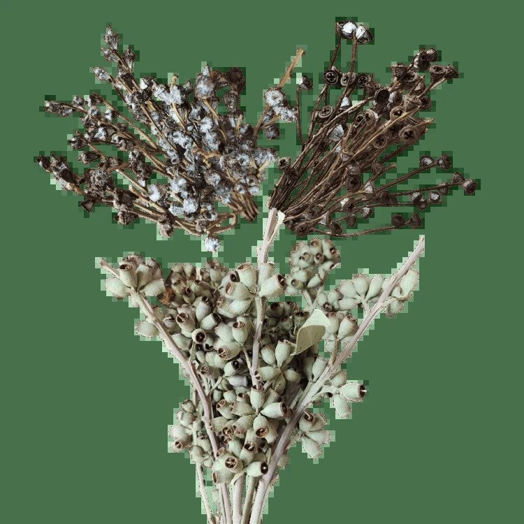 Bluejw Dried Zombie Fruit Flower & Eucalyptus Arrangement in Silver and Gold – Elegant Dried Plants Bouquet for Wedding Decor, Rustic Bridal Centerpiece, Long-Lasting Floral Display - Image 3