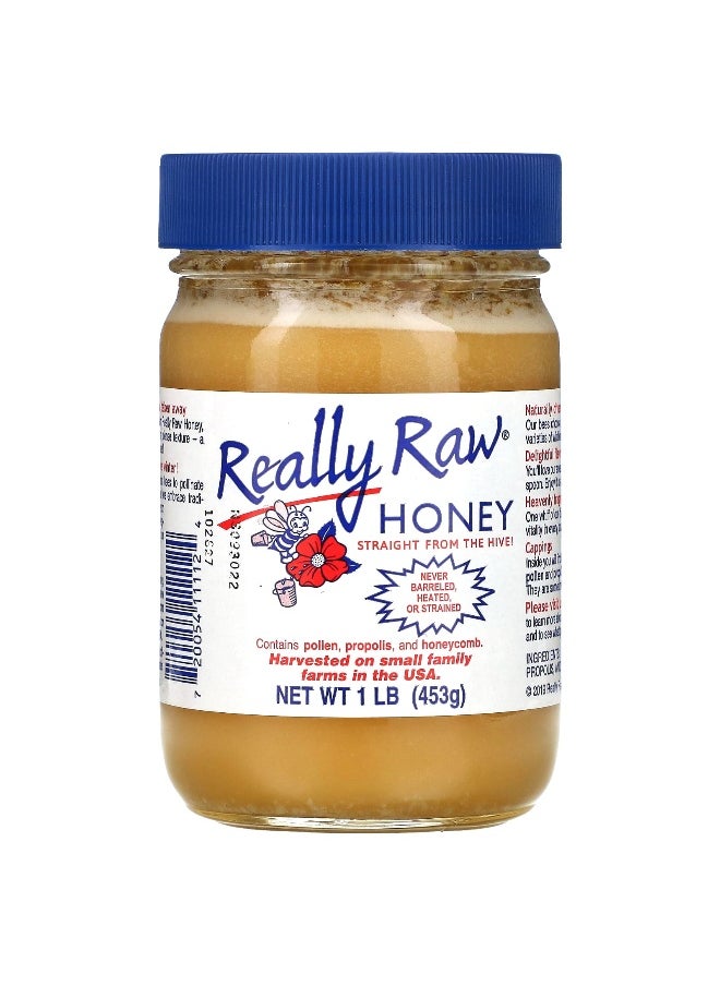 Really Raw HONEY Really Raw Honey, Honey, 1 lb (453 g)  - Image 1