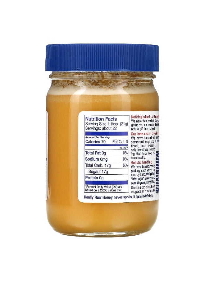 Really Raw HONEY Really Raw Honey, Honey, 1 lb (453 g)  - Image 2