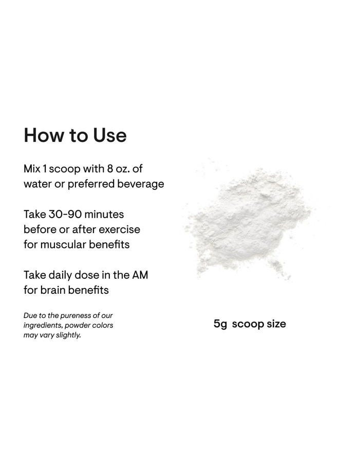 Thorne كرياتين - كرياتين مونوهيدرات، مسحوق الأحماض الأمينية - دعم العضلات، الطاقة الخلوية والوظيفة الإدراكية* - خالي من الغلوتين، كيتو - معتمد من NSF للرياضة - 16 أونصة - 90 حصة - Image 3