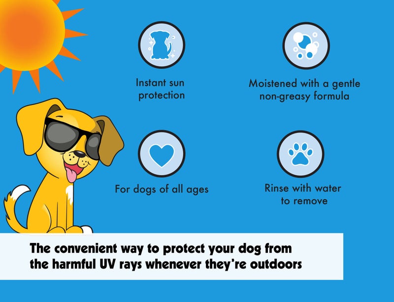 Petkin Dog Sunscreen Sunstick â€“ Sunscreen for Dogs and Puppies, SPF 15 â€“ Simply Rub on Anytime for Instant Sun Protection â€“ Vanilla Coconut Scent, .5 oz Net Weight â€“ Ideal for Home or Travel - Image 5