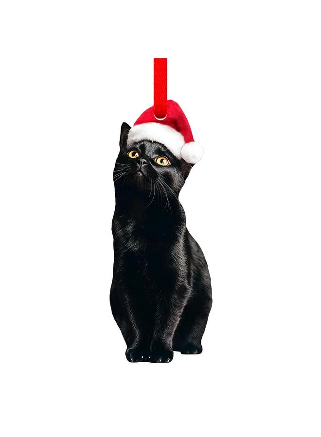 SICOHOME Black Cat Christmas Ornament - Acrylic Realistic Black Cat Ornaments for Christmas Tree Pet Christmas Ornament Black Cat Gifts for Women (2D) - Image 1