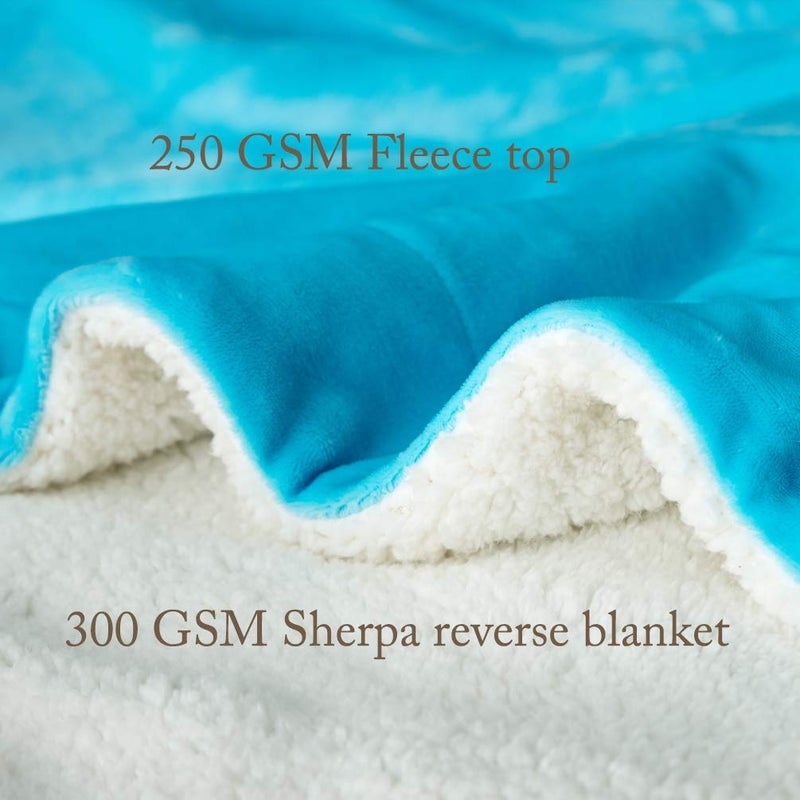 LBRO2M LBRO2M Sherpa Fleece Bed Blanket Queen Size Super Soft Fuzzy Plush Warm Cozy Fluffy Microfiber Couch Throw Velvet Double Reversible Luxurious Blankets (90x90 Teal)  - Image 4