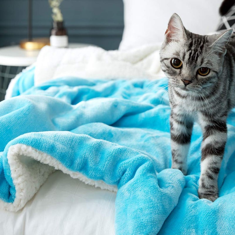 LBRO2M LBRO2M Sherpa Fleece Bed Blanket Queen Size Super Soft Fuzzy Plush Warm Cozy Fluffy Microfiber Couch Throw Velvet Double Reversible Luxurious Blankets (90x90 Teal)  - Image 3