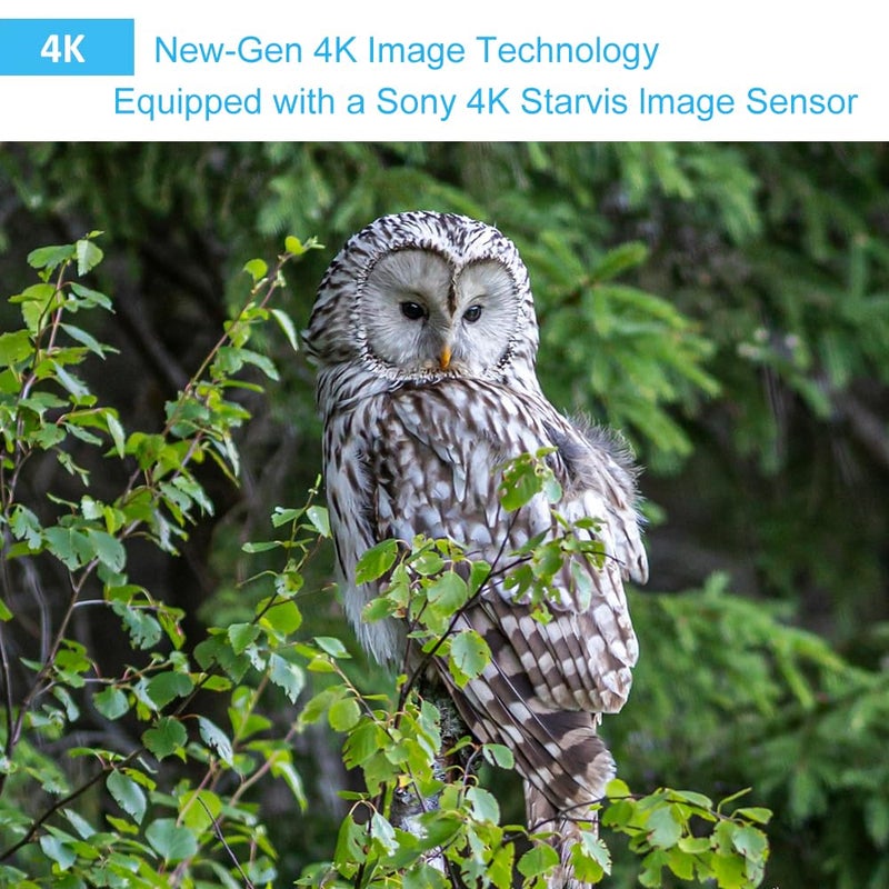GardePro A50 Trail Camera (Non-Cellular, Non-WiFi), True 4K Video, 0.1s Trigger, 100ft No-Glow Night Vision, Motion Activated Wildlife Camera - Image 4