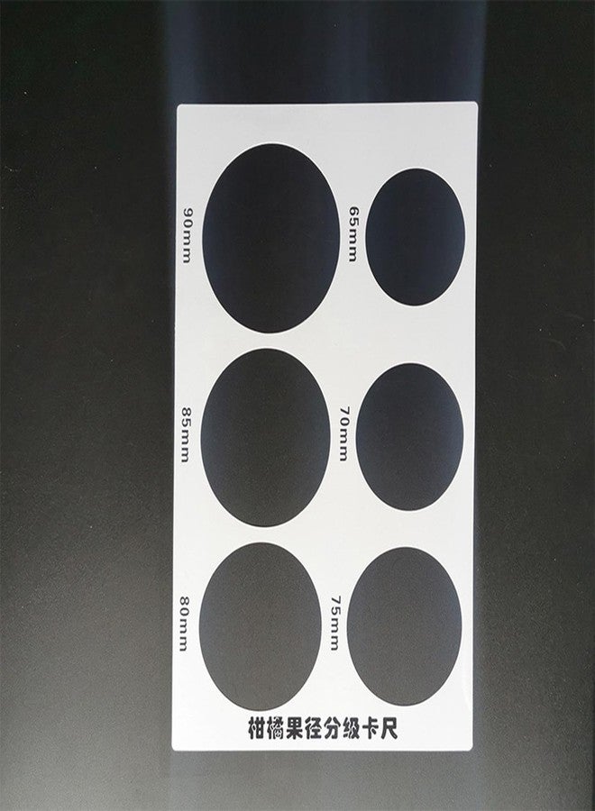 ATORSE Fruit Measurement Rings Fruit Measuring Ruler for Farms Fruit Stores Markets - Image 2