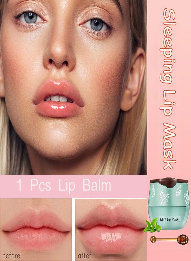 TIRDET 1 PCS Bee Lip Balm Honey Pot, Exfoliating Mint Sleeping Lip Mask Overnight with Sticks, Prevention Dry Hydrating and Crack Scrubs - Image 4