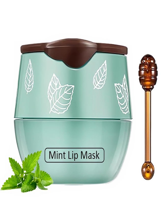TIRDET 1 PCS Bee Lip Balm Honey Pot, Exfoliating Mint Sleeping Lip Mask Overnight with Sticks, Prevention Dry Hydrating and Crack Scrubs - Image 1