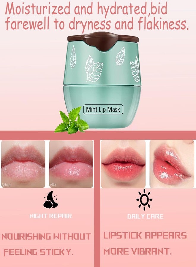 TIRDET 1 PCS Bee Lip Balm Honey Pot, Exfoliating Mint Sleeping Lip Mask Overnight with Sticks, Prevention Dry Hydrating and Crack Scrubs - Image 2