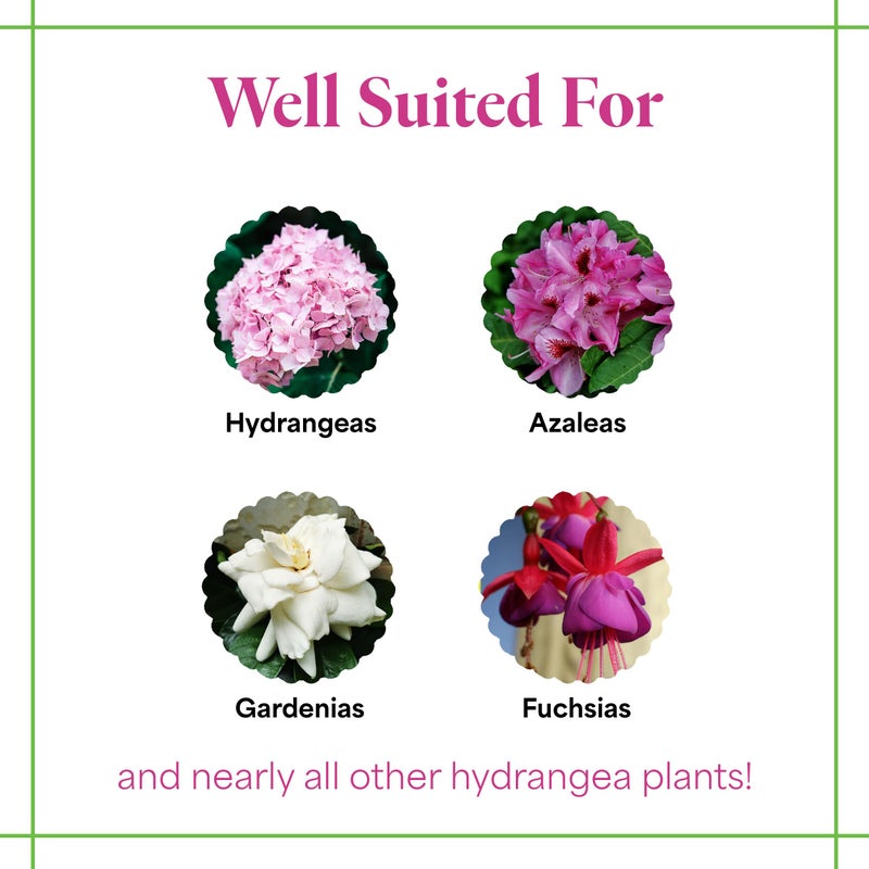 Grow More Hydrangea Blueing Formula - 2lbs of USA-Made Soil Acidifier for Hydrangeas, Azaleas, Gardenias, & Many More - Contains Aluminum Sulfate That Enhances Color Change for Soil and Potted Plants - Image 3