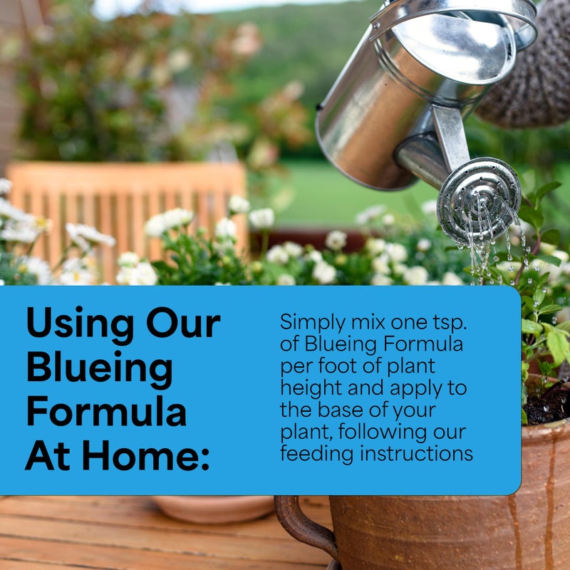 Grow More Hydrangea Blueing Formula - 2lbs of USA-Made Soil Acidifier for Hydrangeas, Azaleas, Gardenias, & Many More - Contains Aluminum Sulfate That Enhances Color Change for Soil and Potted Plants - Image 4