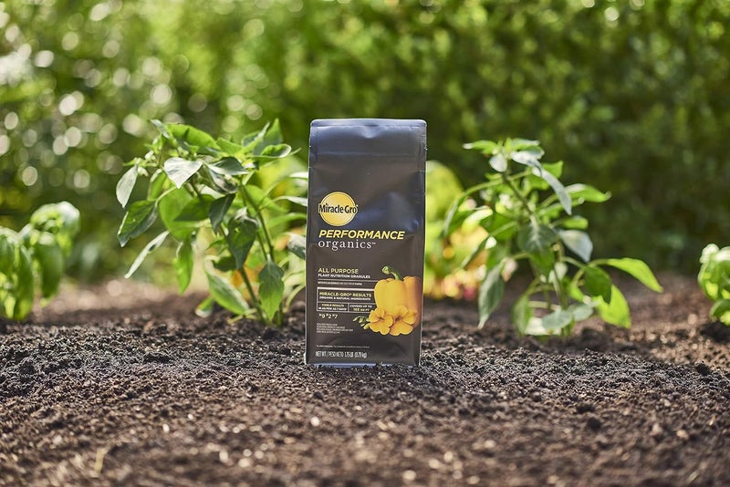 Miracle-Gro MIRACLE GRO MG 1.75LB AP PLANT FOOD - Image 4