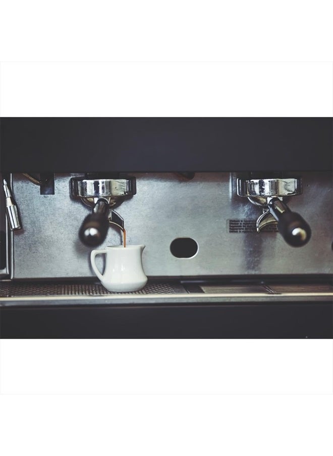 GAGGIA - Decalcifier Descaler Solution 250ml (3 Bottles) - Image 1