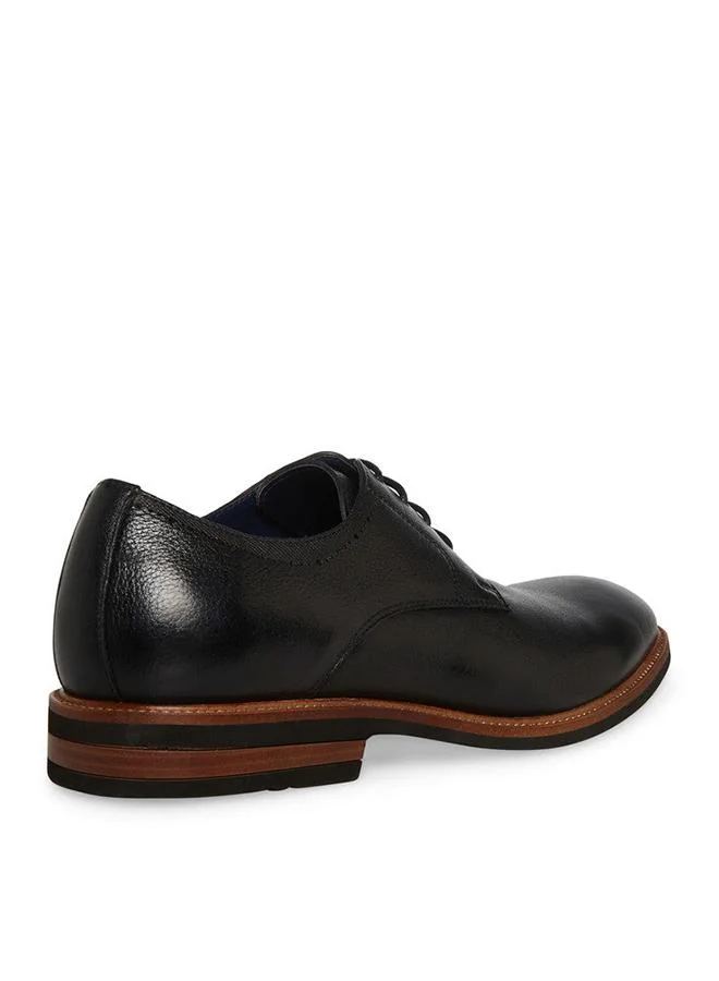 Steve Madden  Arthur Men's Black Formal Shoes for Men | Best Price UAE