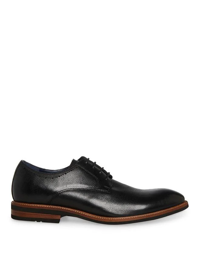Steve Madden  Arthur Men's Black Formal Shoes for Men | Best Price UAE