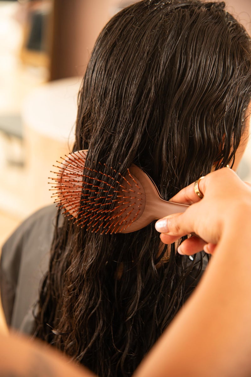 FRAMAR Chocolate Hair Brush Detangler â€“ Wet Hair Brushes For Women, Womens Hair Brush, Hair Accessories, Hairbrush For Women, Cepillos Para Cabello, Reduces Breakage â€“ Detangle Brush - Image 3