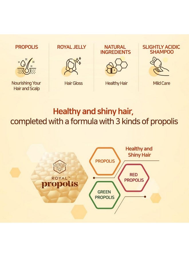 Kerasys Propolis Royal Jelly Extract Rosehip Oil Rose Water Shiny And Healthy Hair Propolis Red Volume 33.8 Fl Oz / 1L (Shampoo, 1-Pack)  - Image 4