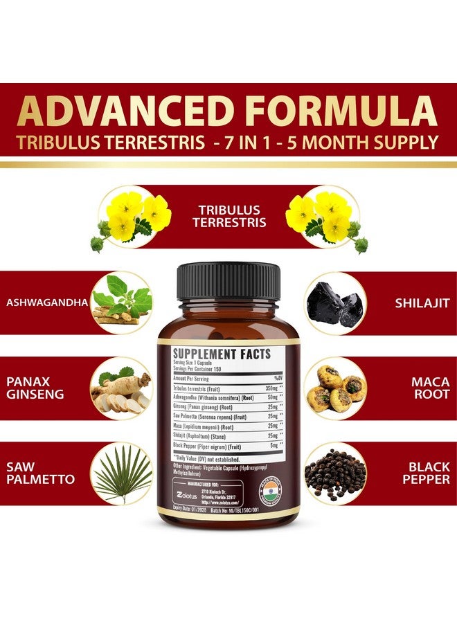 Zolotus Tribulus Terrestris Supplement for Men & Women, 5-Month Supply with Ashwagandha, Panax Ginseng, Saw Palmetto, Maca, Shilajit, 150 Count  - Image 4