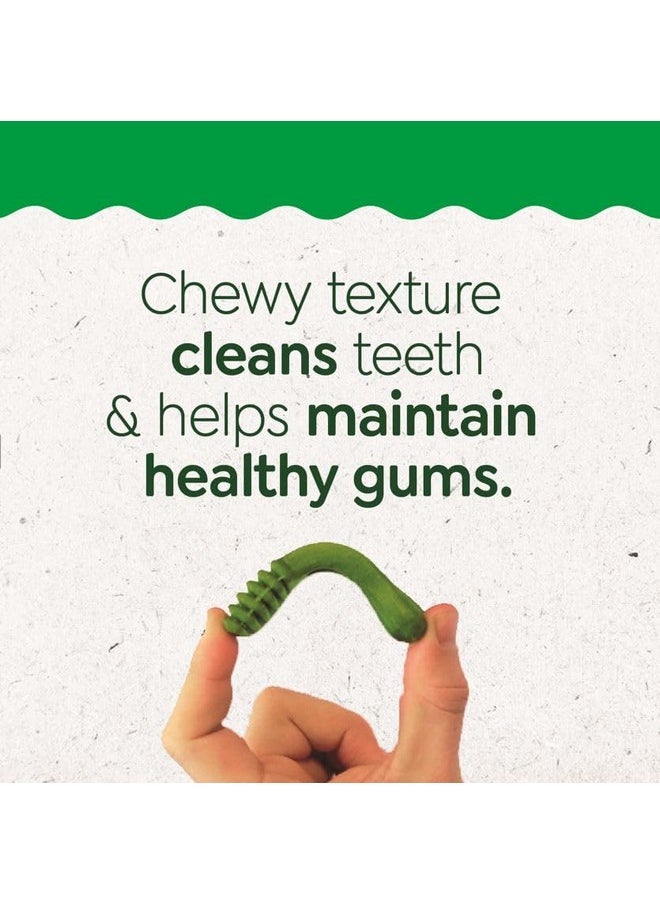 Greenies Greenies Puppy Regular Size Natural Dental Dog Treats, 6 oz. Pack (6 Treats)  - Image 2