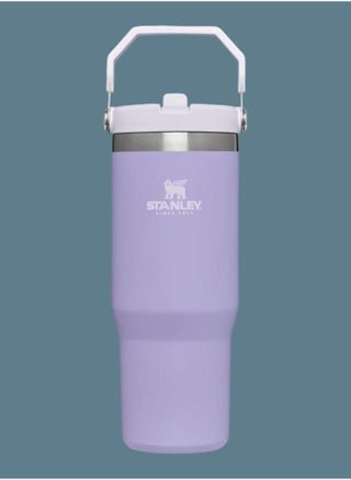 STANLEY IceFlow Stainless Steel Tumbler with Straw - Vacuum Insulated Water Bottle for Home, Office or Car - Reusable Cup with Leak-Resistant Flip Straw, Keeps Drinks Cold for 12 Hours or Iced for 2 Days, 30 oz Lavender - pzsku/Z3E37D05CE38B73607753Z/45/1747308229/d73dfefc-da5d-4764-a5d7-2a569a8d6ae5