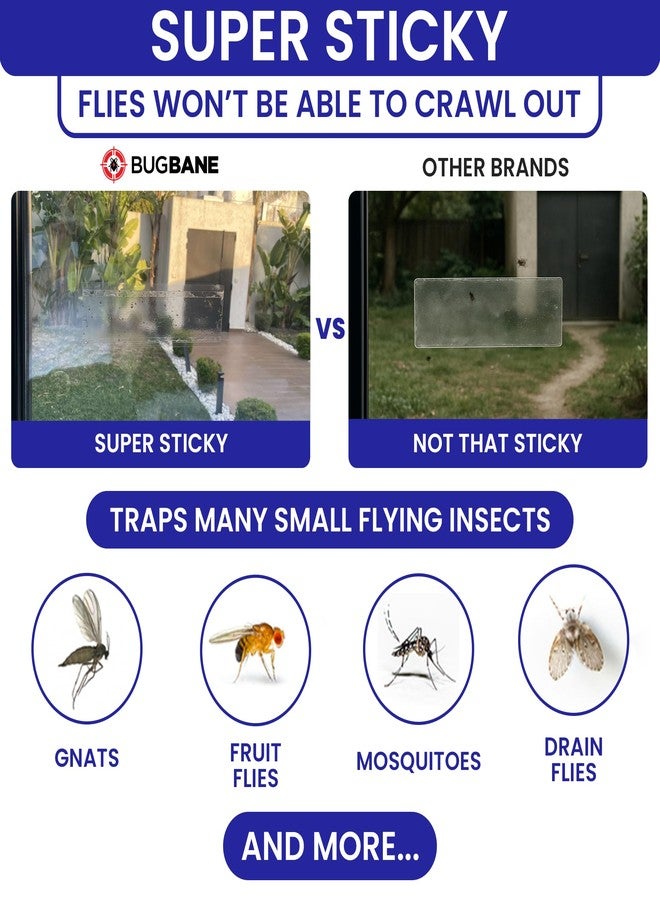 BugBane Window Fly Traps 100 Pack, Fruit Fly Traps for Indoors, Fly Paper Sticky Strips, Fly Trap for Indoors Bug Catcher Clear Trap for Home - Image 2
