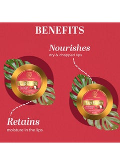 Khadi Natural Lychee Lip Balm With Beeswax And Shea Butter|Lip Balm For Soft & Hydrated Lips | Herbal Lip Balm For Chapped Lips | Free From Harsh Chemicals | Unisex Lip Balm| Pack Of 3| (5*3) (15 Gm)  - Image 2
