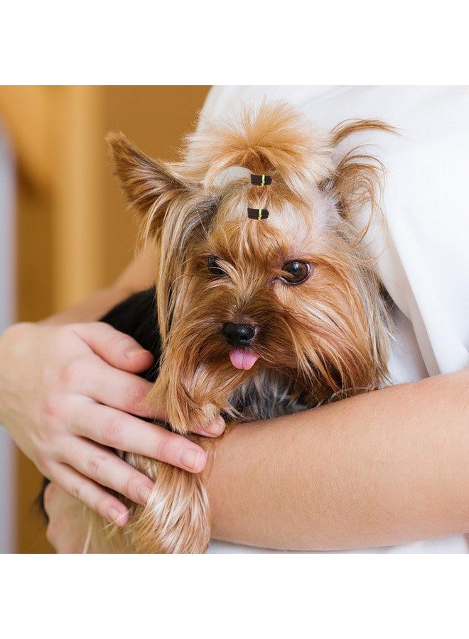 Sliverdew 100 Pcs Dog Hair Bands, Colorful Rubber Bands For Pet Puppy Stretchy Hair Ties Super Stretch Nylon Seamless Dog Hair Bows Puppy Elastics Ties Pony Tail Holders Hair Accessories For Small Yorkie Dog - Image 4