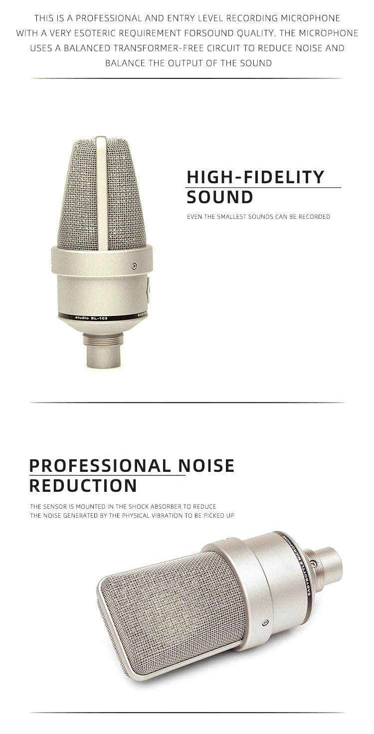Belear TLM 103 Large Diaphragm Cardioid Condenser Microphone Kit, Foam Pop Filter, Cable for Professional Studio Recording, Home Studio, FM Broadcast & Voice Over - Image 4