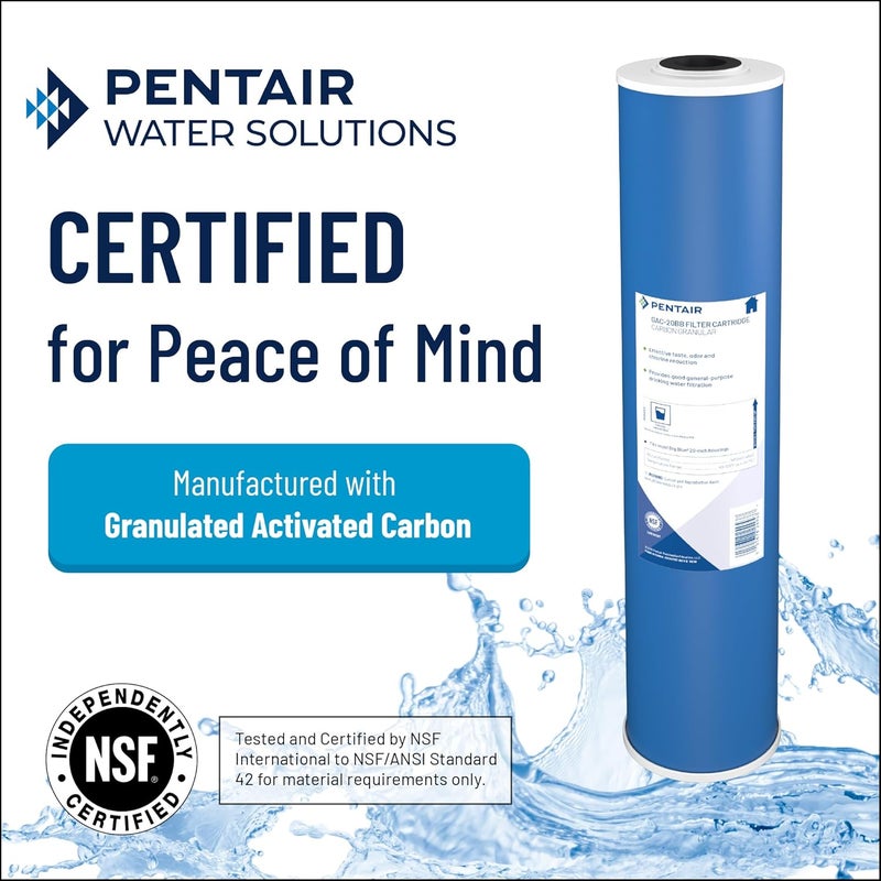 Pentek GAC-10 Granular Activated Carbon Drinking Water Filter - 2.5 x 10 Inches - Image 3