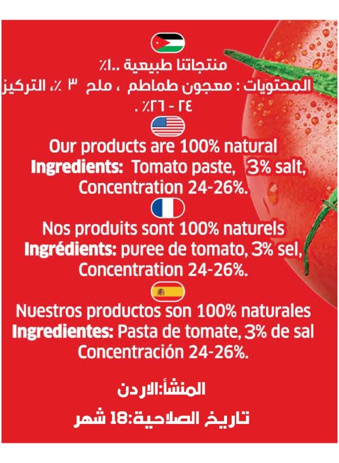 El Basha Tomato Paste High Concentrate 1350G, Rich Tomato Base For Cooking Sauces And Stews - Image 3