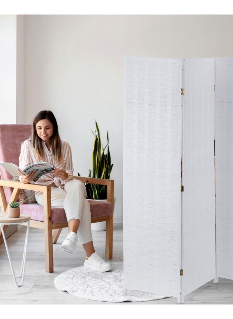 Living Room Divider very useful for cloth changing purpose as well - Image 2